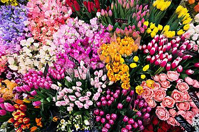 《四海兄弟：故乡》预载即将开启 PC容量大小约55G！