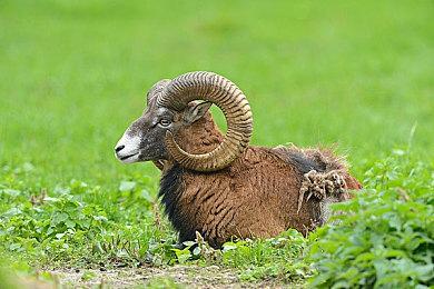 《上行战场》全新免费DLC重庆包发布，更有多重新春折扣好礼相送